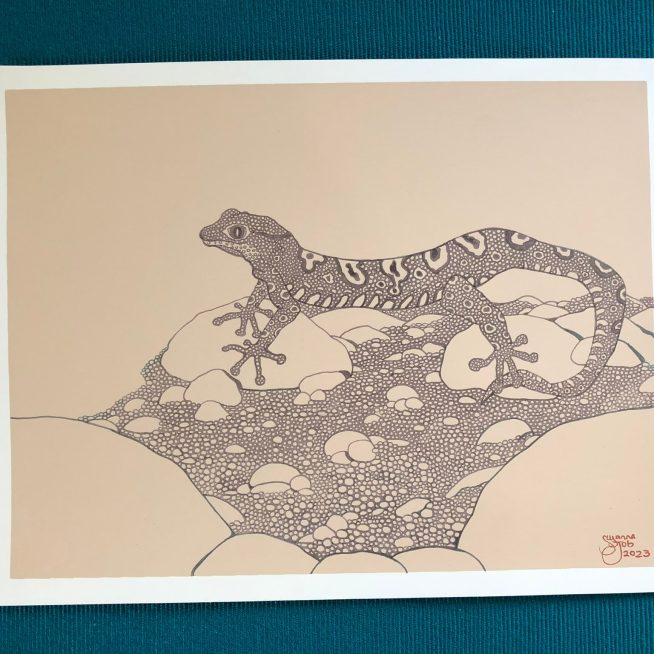 Gecko