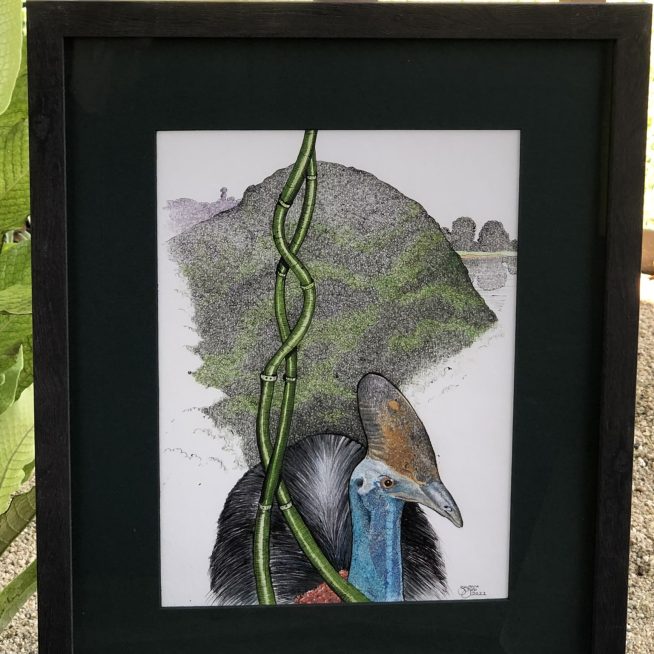 Cassowary
