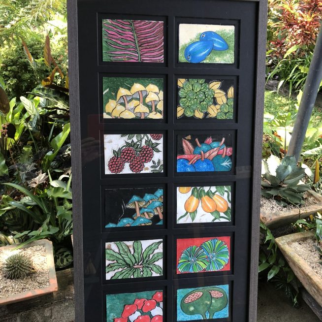Rainforest Mix