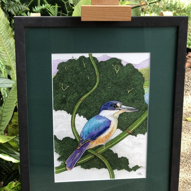 Sacred Kingfisher