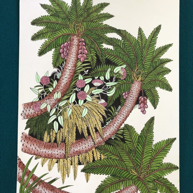 Cycads