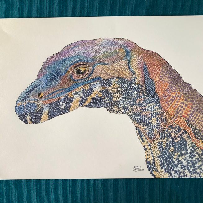 Lace Monitor