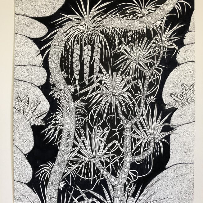 Pandanus & Boulders