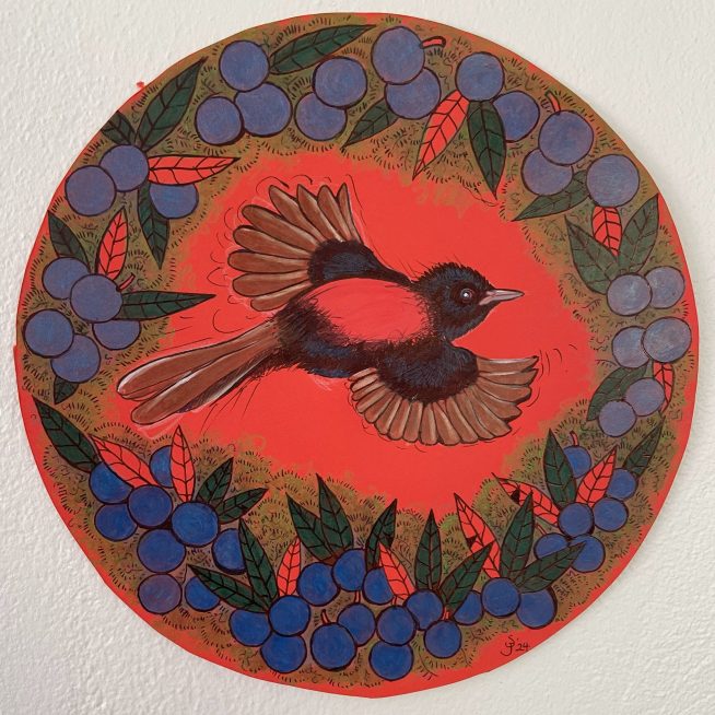 Red-backed fairywren