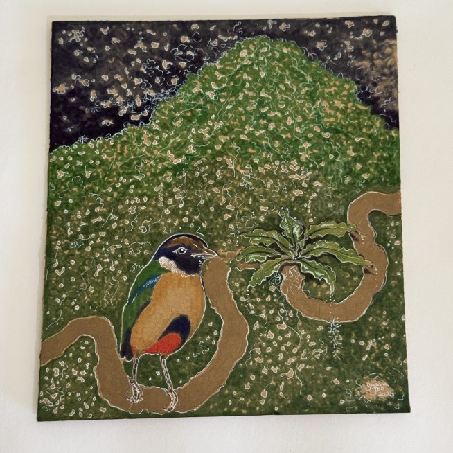 Noisy pitta